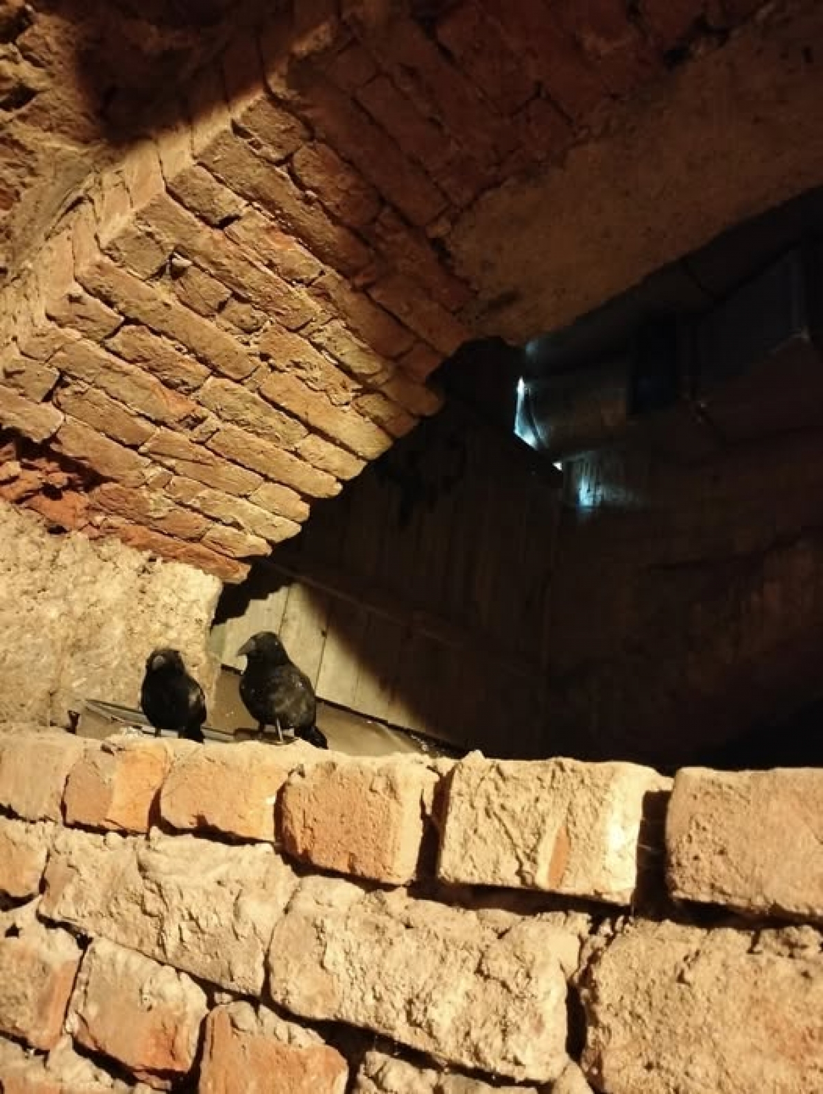 У П'ЯТНИЦЮ 17 жовтня о 17:00 Збірна екскурсія підземеллями міської Ратуші (колишня вʼязниця)